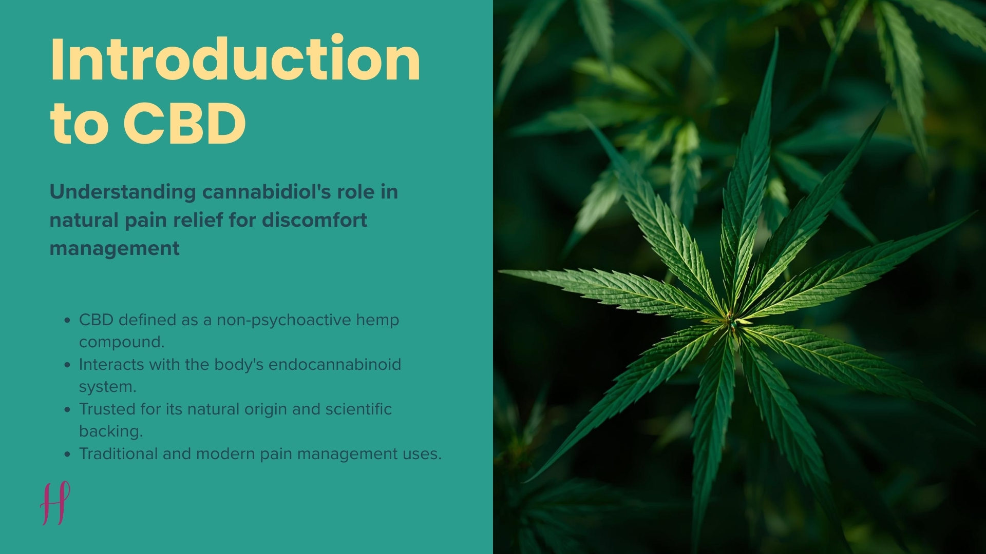 Introduction to CBD